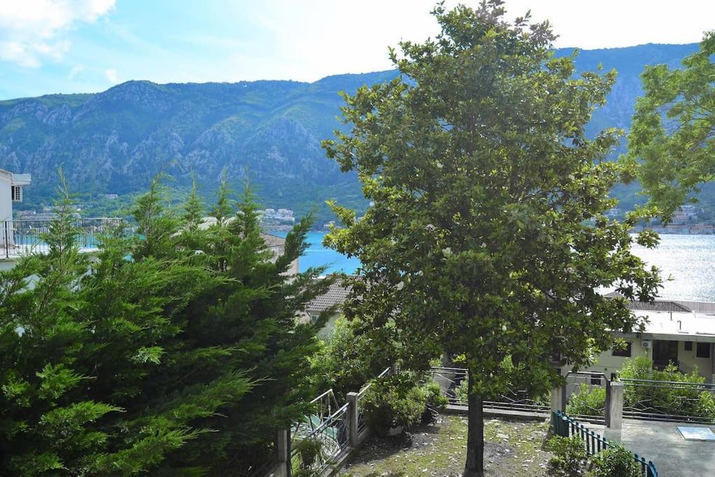 Ferienwohnung Urban Escape For Two In Kotor Exterior foto